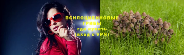 спайс Алзамай