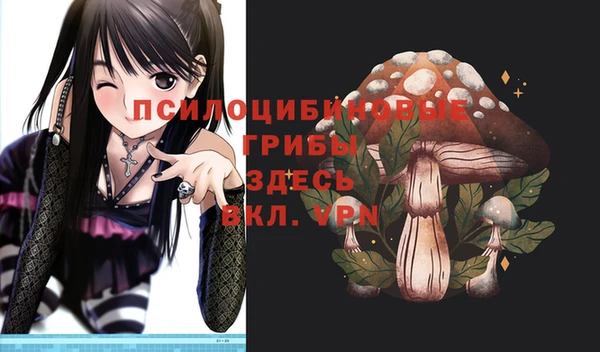 гидропоника Алексеевка