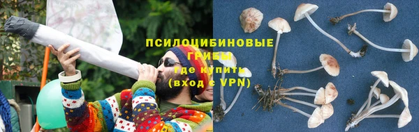 гидропоника Алексеевка