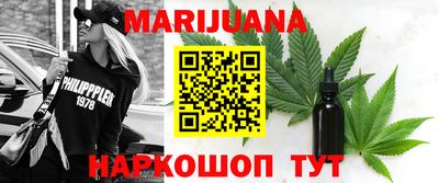 спайс Гай