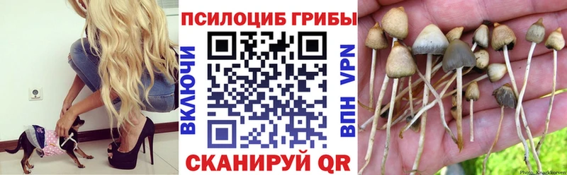 Псилоцибиновые грибы ЛСД  наркотики  Похвистнево 